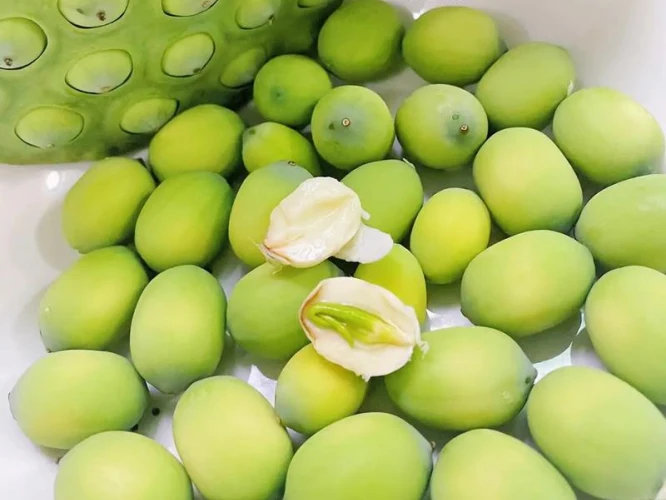 Gvider - Fresh Lotus Seeds