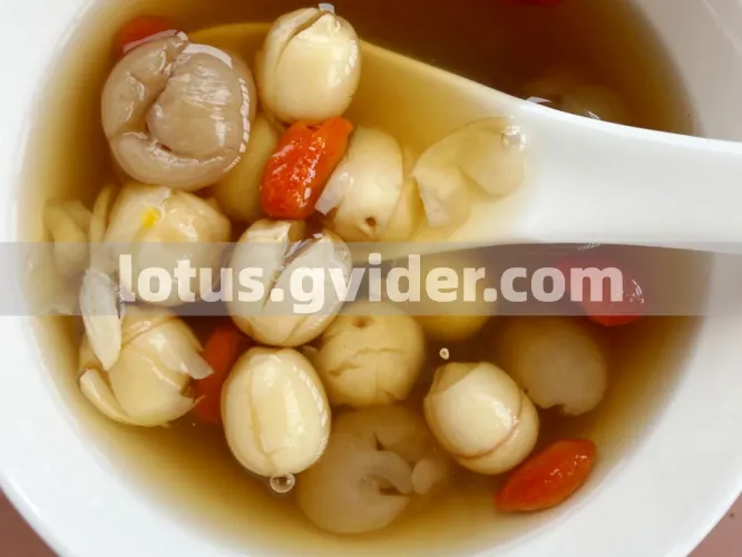 Gvider - How to Cook Lotus Seeds A Complete Guide to Fresh & Dried Varieties