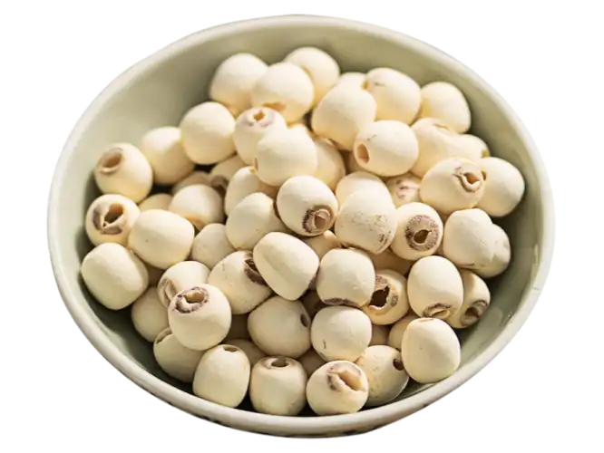 Gvider - Polished Cored White Dried Lotus Seeds