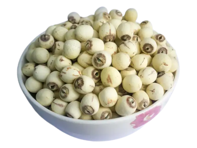 Gvider - Uncored Polished White Dried Lotus Seeds
