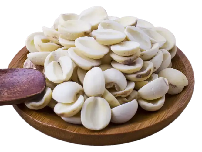 Gvider - Half White Lotus Seeds