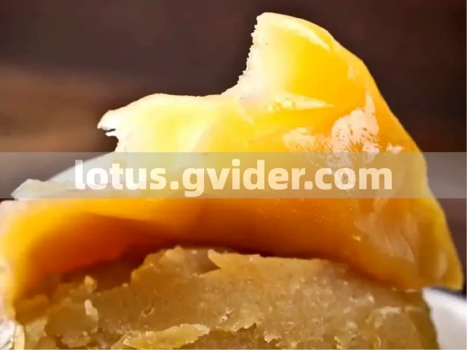 Gvider - What is Lotus Seed Paste